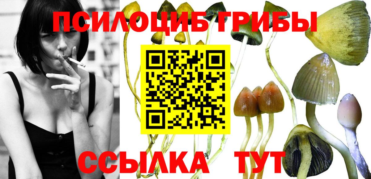 Галлюциногенные грибы MAGIC MUSHROOMS  Вход с VPN  Можайск 
