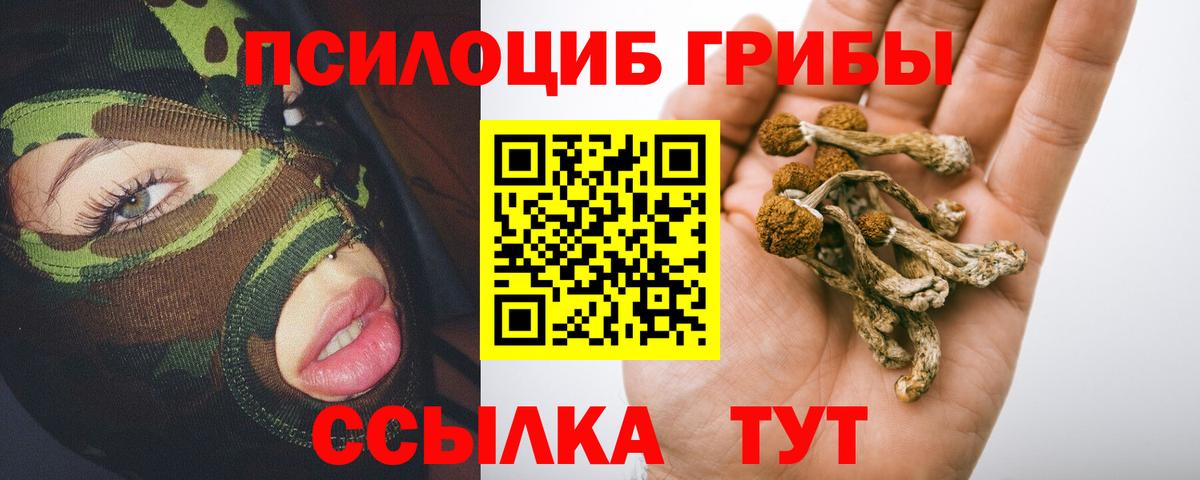 Псилоцибиновые грибы прущие грибы Можайск